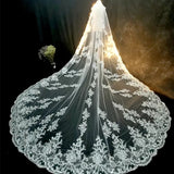 Luxury Long Bridal Veil White Ivory Wedding Veils With Comb Lace Edge Applique Elegant Cathedral Length Wedding
