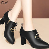 Up High Heels Woman Shoes 2023 Autumn Winter Metal Pointed Toe Dress Shoes Black Pumps Square Bare Boots Zip