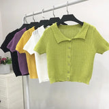 Sweater Women's 2024 Summer Korean Version Of Single-Breasted Polo Collar Knitted T-Shirt Short Style Short-Sleeved