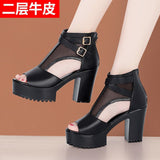 Hollowed-Out Net Boots Women's 2024 Summer Fashion Fish Mouth Sandals Large Size High-Heeled Thick-Soled Roman