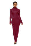 Polyester Spandex Fashion Solid Color Long Sleeve Stretch Slim Turtleneck