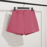 Zingj Photo Suit Shorts Female Summer 2024 New High Waist Loose Gray Five Minute Pants Straight Tube Hong Kong Flavor Casual