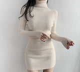 High Neck Long Sleeve Hip DressOutfit