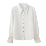 Small Pointed Collar Satin Gloss Commuter Professional White Shirt Female Design Sense Niche 2025 Autumn