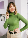 Zingj Color Half Turtleneck Sweater 2024 Autumn And Winter Female (24 Color Spot) Slim Knit Bottom
