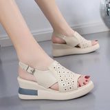 Zingj Heel Sandals Women's 2024 New Summer High-Heeled Fish Mouth Women's Shoes Hollowed-Out Heightened Muffin Large Size