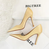 Zingj Fashion Simple Ultra High Heel Shallow Pointed Sexy Nightclub Show Thin Silk Women's Singles