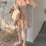 Sleeve Dress Women Spring Floral V-neck Romantic Mini French Style Clothing Harajuku Newest Tender Popular Lovely