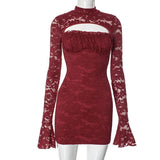 Mesh Lace Turtleneck Sleeve Mini Dress-Outfit