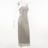 Sequin Mesh Long Dress-Outfit
