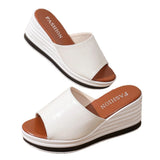 New Fashion Fish Mouth Slope And Fashion Casual Large-Size Women's Type Cold Slippers