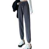 Zingj Grey Sports Pants Women's Fall Foot 2024 New Little Harlan Casual Pants Fall Thin-Outfit