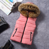 2023 Hooded Vest Women's Horse Clip Women Autumn And Winter Down Vest Women's Winter Vest Women's Down Cotton Vest-Outfit