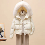 Korean Version Of The Ox Horn Button Down Jacket Women's Short Style 2024 Winter New Big Hair Collar And Thick Small Warm Coat Tide-Outfit