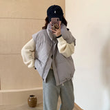 Gray Standing Collar Down Cotton Vest Women's Autumn And Winter Outside To Wear European Goods 2024 Horse Clip Foreign Gas Korean Version Of The Vest College Wind-Outfit