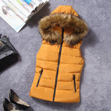 2023 Hooded Vest Women's Horse Clip Women Autumn And Winter Down Vest Women's Winter Vest Women's Down Cotton Vest-Outfit