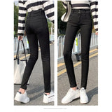 Wear 2023 New High-Waisted Trousers With Double Buttons, Stretch, Slim, High Pencil, Nine-Cent