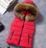 2023 Hooded Vest Women's Horse Clip Women Autumn And Winter Down Vest Women's Winter Vest Women's Down Cotton Vest-Outfit