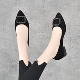 Zingj High Heels Women's 2024 Spring New Square Buckle Shallow Mouth Single Shoes Two Kinds Of High Love Shoes