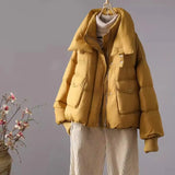Knit Sleeve Advanced Sense Down Jacket Women's 2024 Winter New Thread Sleeve Standing Collar Warm White Duck Down Short Bread Clothing-Outfit