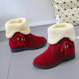 Celebrity Snow Boots 2024 Autumn And Winter New Korean Version Of Short Boots Plush Thickened Warm Cotton Boots