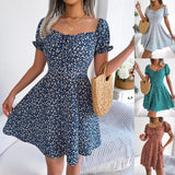 Wind Shooting Spring And Summer Leisure Horn Sleeves With Broken Flowers Dress Women's