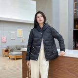 Autumn And Winter New Fashion Pressure Glue In The Thin Down Jacket Female Hood Short Fashion Warm Winter Dress Coat Tide-Outfit
