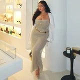 Sequin Mesh Long Dress-Outfit