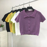 Sweater Women's 2024 Summer Korean Version Of Single-Breasted Polo Collar Knitted T-Shirt Short Style Short-Sleeved