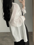 Lightweight Sheer Long Sleeve Blouse- Outfit