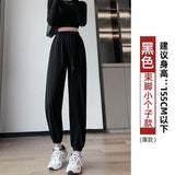 Zingj Grey Sports Pants Women's Fall Foot 2024 New Little Harlan Casual Pants Fall Thin-Outfit