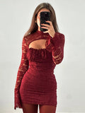Mesh Lace Turtleneck Sleeve Mini Dress-Outfit