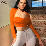 Women Pullover T shirt Solid Color V-Neck Long Sleeve Crop Top for Summer Fall Black Purple Orange