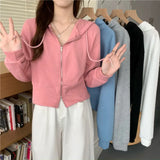 Solid Color Polo Collar Zipper Sweater New Korean Version Loose Women's Hooded Long-Sleeved Cardigan
