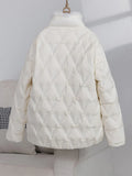 Mink Wool Down Jacket Female 2024 Winter Fashion New Chinese Style Design Feeling Pressure Glue Foreign Style Small White Duck Down Coat-Outfit