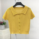 Sweater Women's 2024 Summer Korean Version Of Single-Breasted Polo Collar Knitted T-Shirt Short Style Short-Sleeved