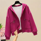 Zingj Jacket Female Short Model Fall 2024 New Loose Korean Version With A Hat Chic Port Wind Versatile Top Tide-Outfit