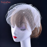 YouLaPan VA01 Double layer White Birdcage veil Brides Luxury wedding accessories Beaded Birdcage Veil, Blusher Veil,Short