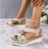 Women's Shoes Sandals 2025 Summer New Flat Bottom Slope And Fish Mouth Casual Women's Sandals
