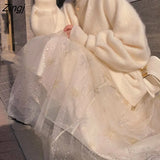 Women High Waist Spring Autumn A-Line Snow Embroidery Fairy Mesh Girlish All-match Korean Style Simple Fresh Romantic