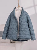 Mink Wool Down Jacket Female 2024 Winter Fashion New Chinese Style Design Feeling Pressure Glue Foreign Style Small White Duck Down Coat-Outfit
