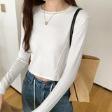 Three-Dimensional Fishbone Round-Necked Blouse Women's Long-Sleeved Autumn And Winter New Minority Short Spicy Girls T-Shirt