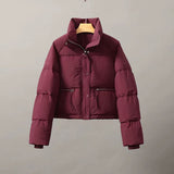 2024 Korean Version Of Short Standing Collar Small Down Cotton Clothing Female Simple Loose Version Of Zipper Bread Coat Solid Color-Outfit