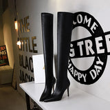 Zingj Fashion Simple Thin Heel High Heel Pointed Winter Sexy Nightclub Show Slender Over The Knee