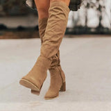 Zingj Women's Over-Knee Boots 2024 Autumn And Winter New Thick Heels, High Heels, Thin Suede Boots, Women's Side Zipper Long