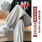 Zingj Grey Sports Pants Women's Fall Foot 2024 New Little Harlan Casual Pants Fall Thin-Outfit
