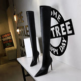 Zingj Fashion Simple Thin Heel High Heel Pointed Winter Sexy Nightclub Show Slender Over The Knee