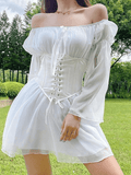 Long Sleeve Corset Mini Dress- Outfit