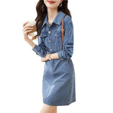 Zingj Feeling Close Waist Show Thin Jeans Skirt Son 2024 Autumn New Versatile Temperament Jeans Dress Female-Outfit