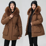 Send To Overcome The New Female Winter Korean Version Of The Waist Show Thin Hooded Big Hair Collar And Wool And Thick Short Jacket Cotton-Padded Jacket-Outfit
